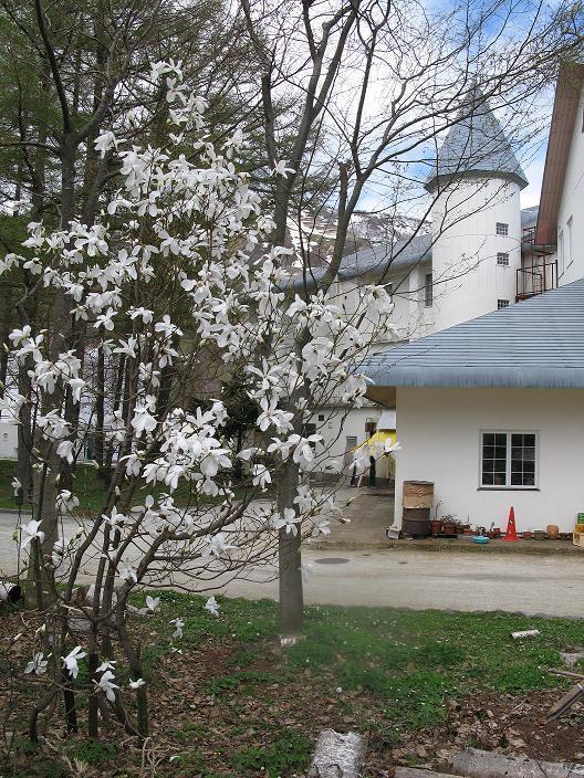 Grindelwald Otel Yuzawa  Dış mekan fotoğraf